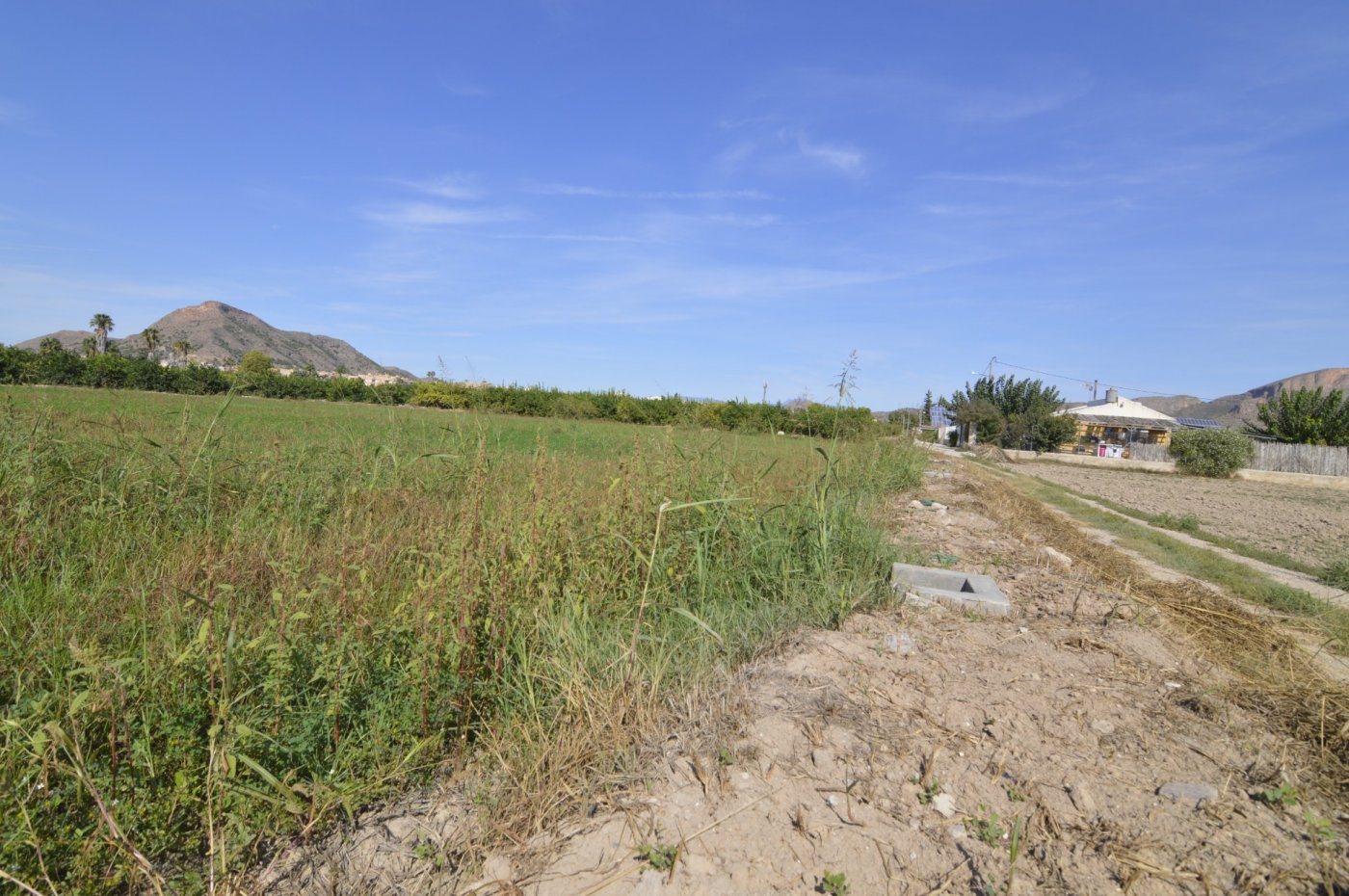 Finca en venta en Santomera