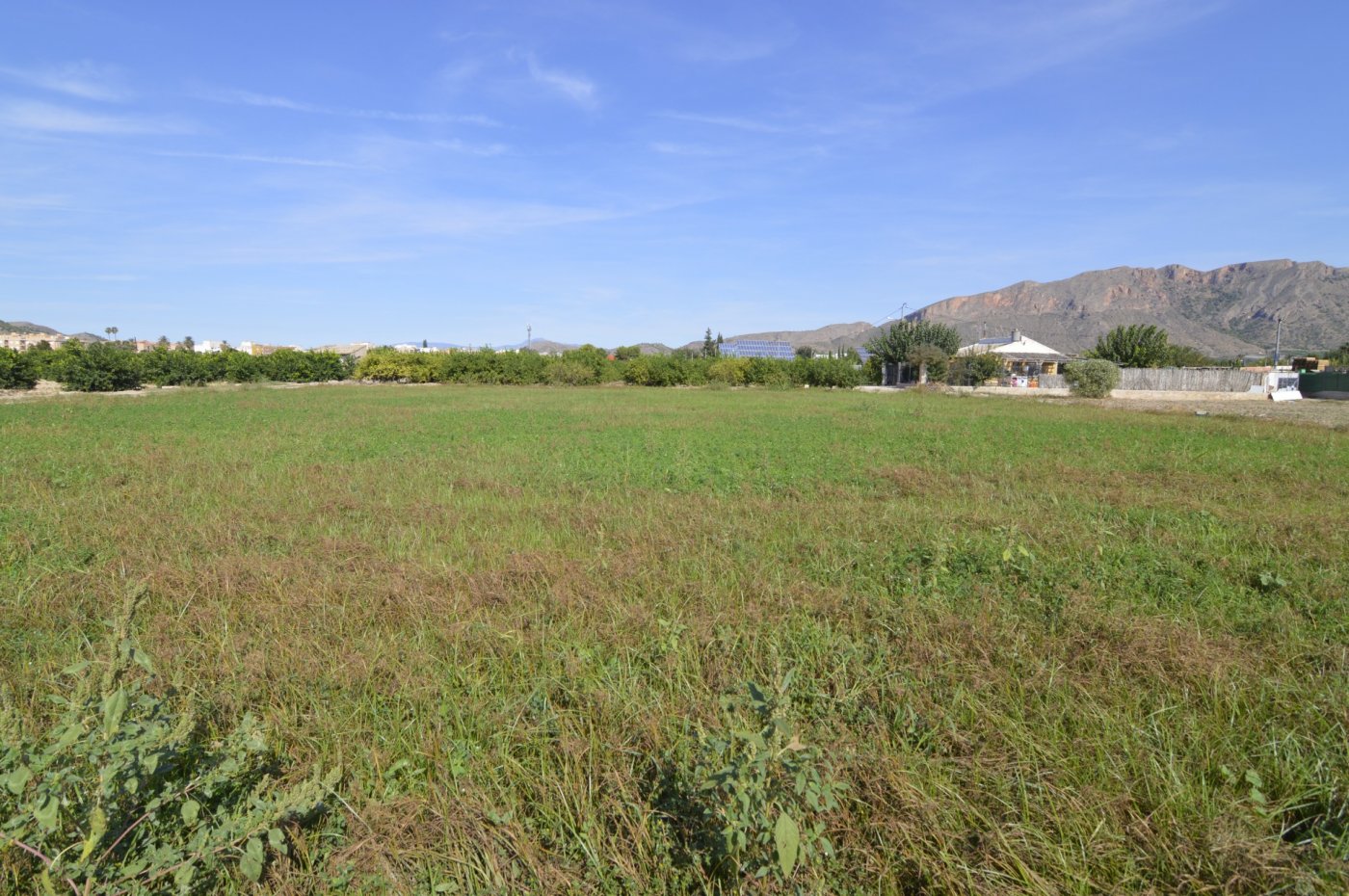 Finca en venta en Santomera