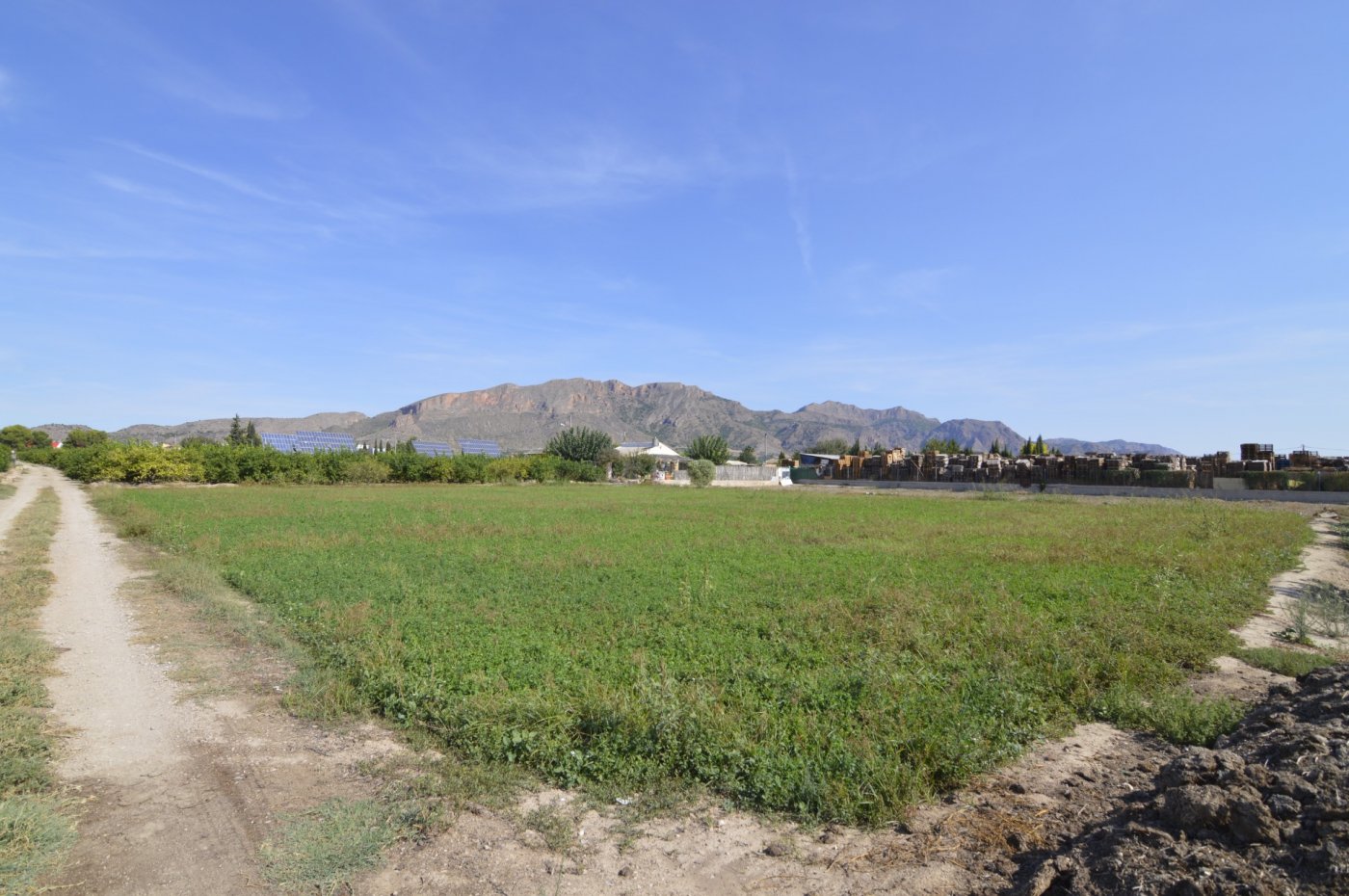 Finca en venta en Santomera