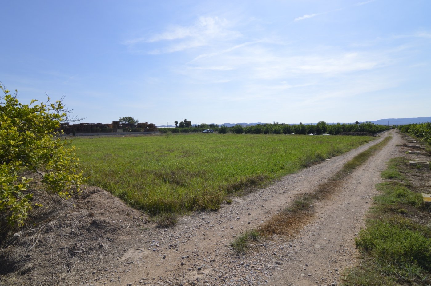 Finca en venta en Santomera