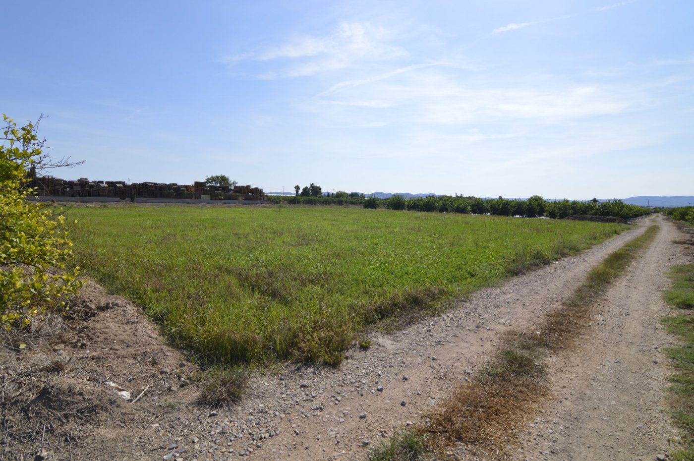 Finca en venta en Santomera