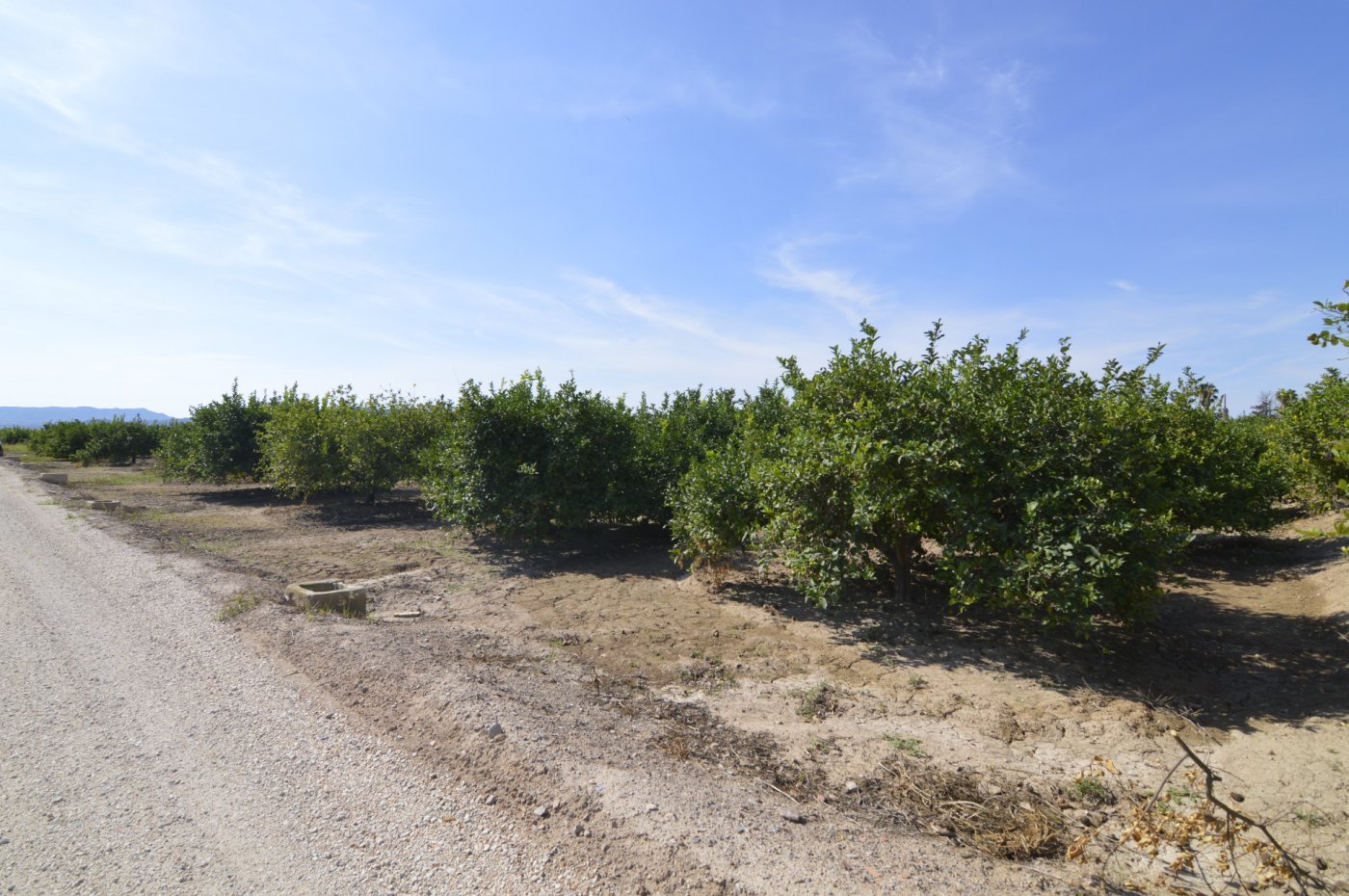 Finca en venta en Santomera