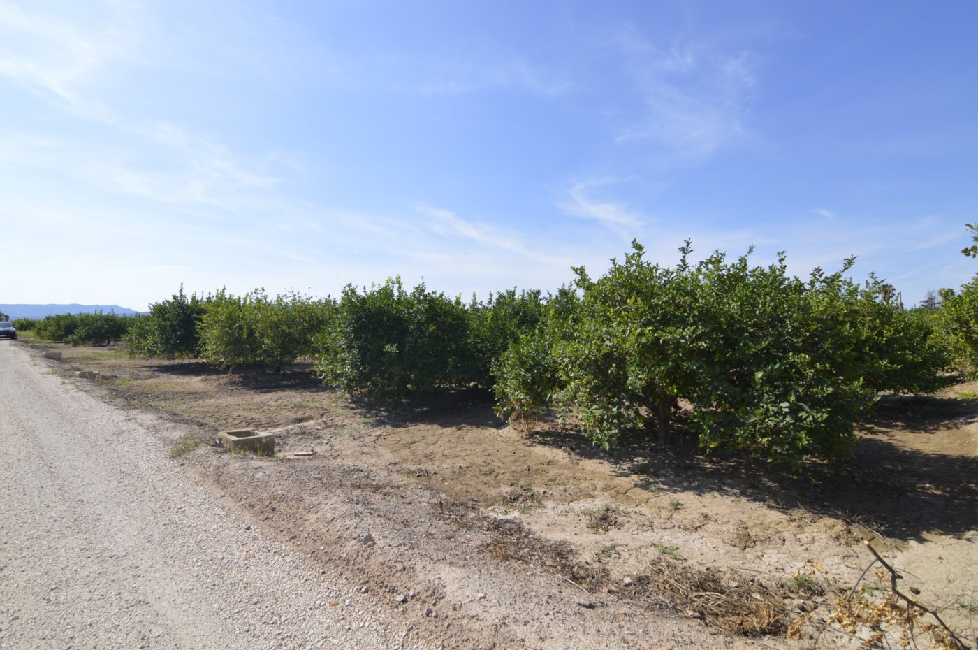 Finca en venta en Santomera