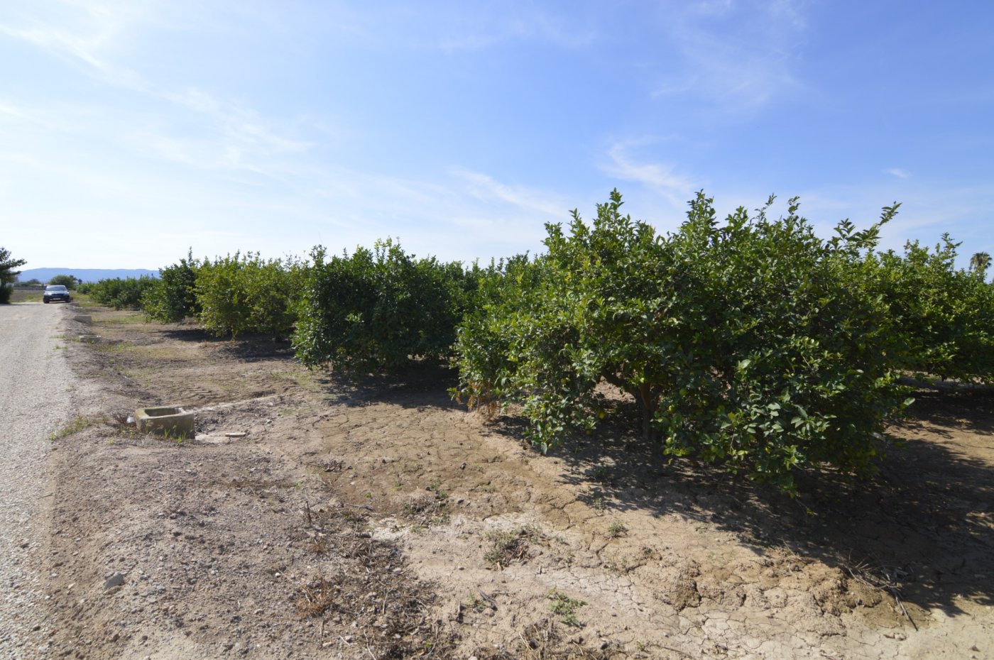 Finca en venta en Santomera