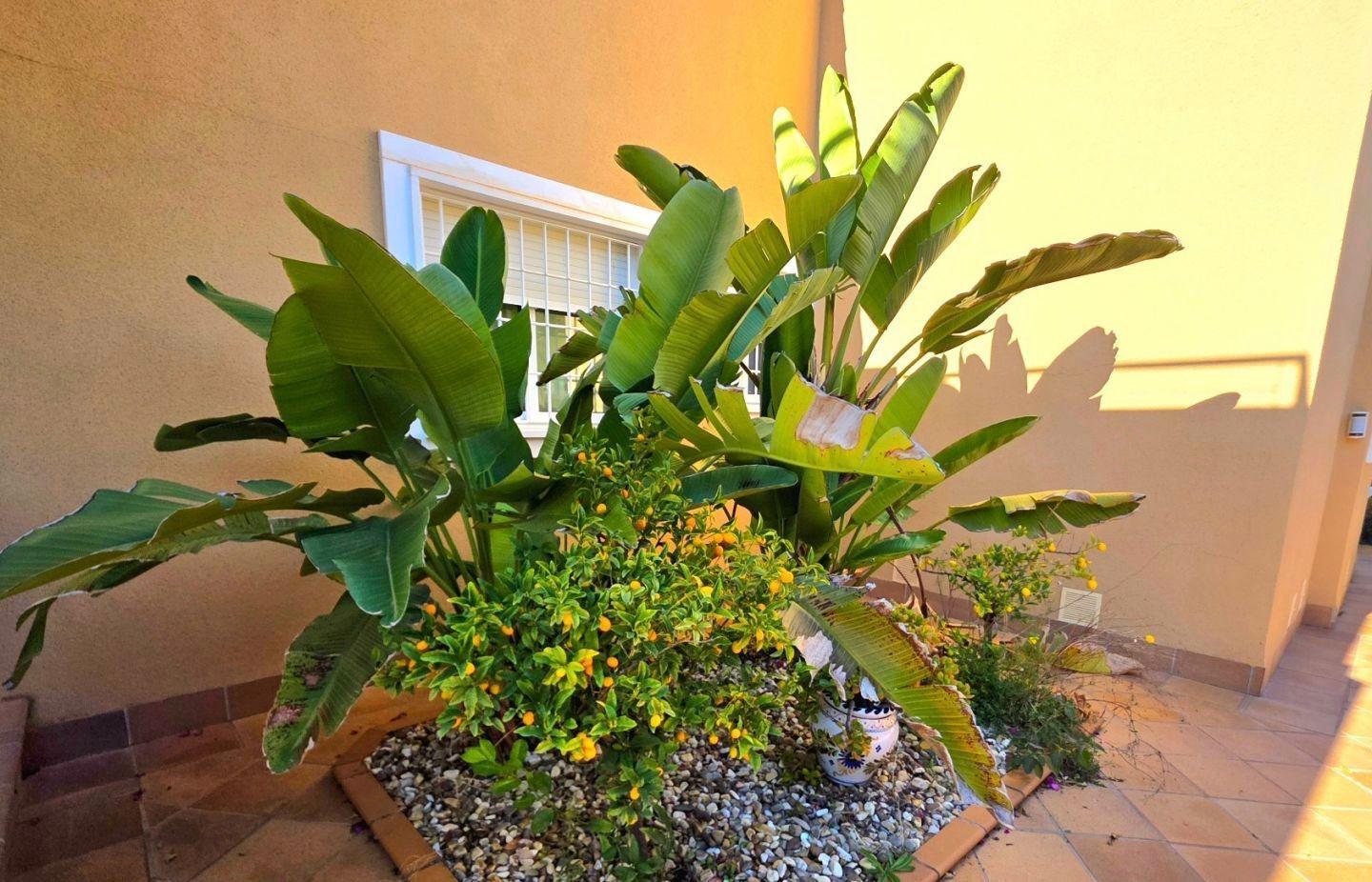 Town House for sale in Orihuela Costa, Alicante, Spain