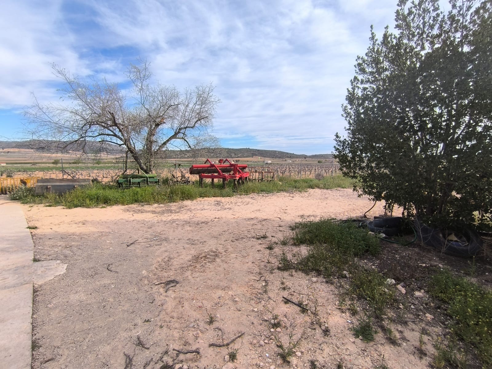 Commercial Property for sale in Yecla, Murcia, Spain