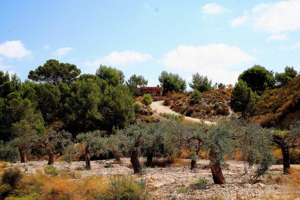 Finca en venta en Gea Y Truyols