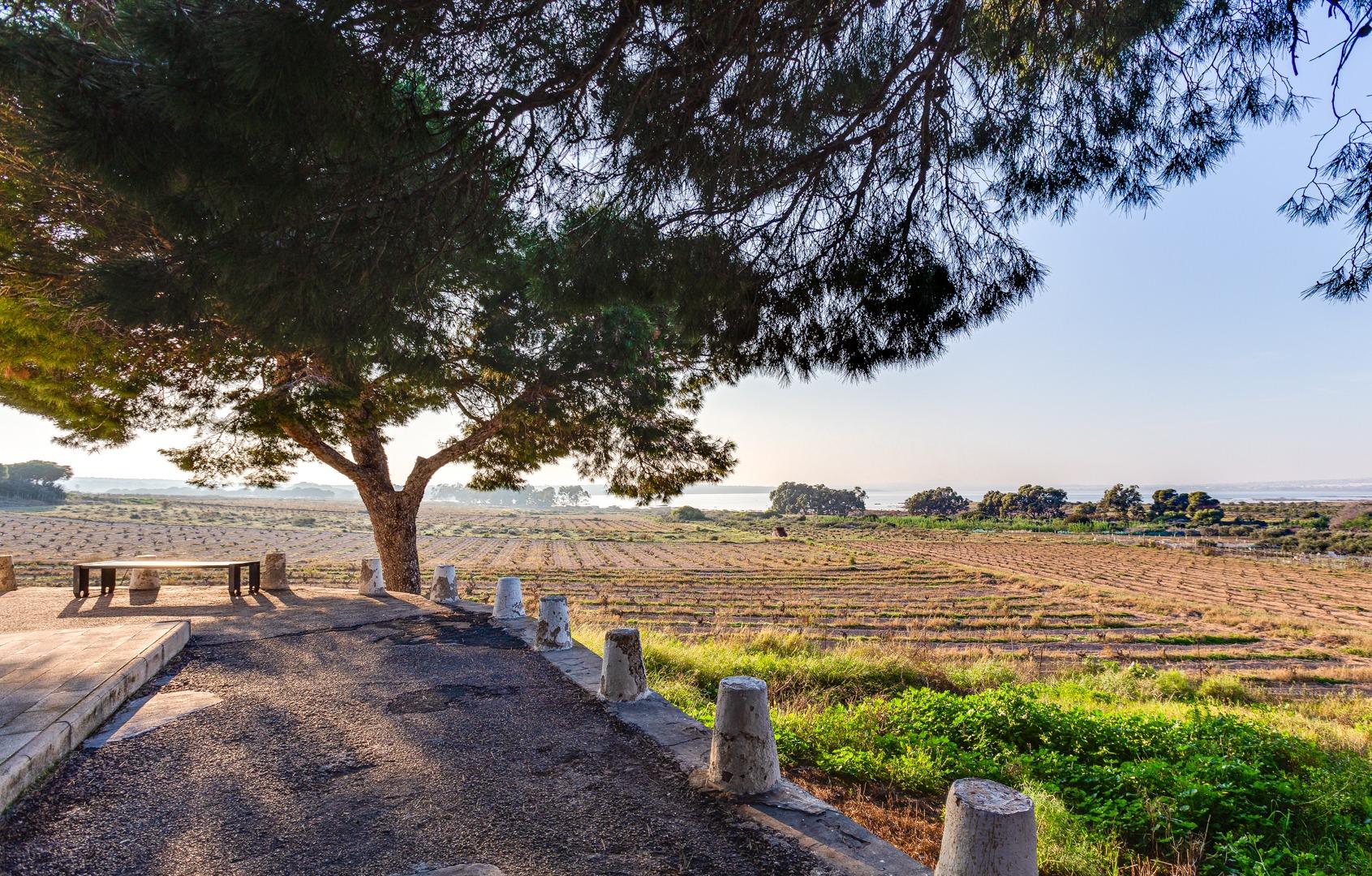 Bungalow en venta en Torrevieja