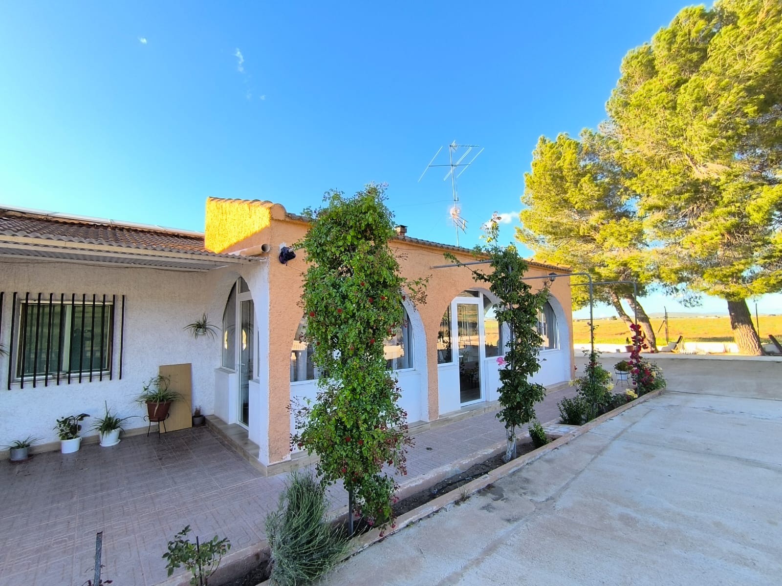 Country House for sale in Yecla, Murcia, Spain