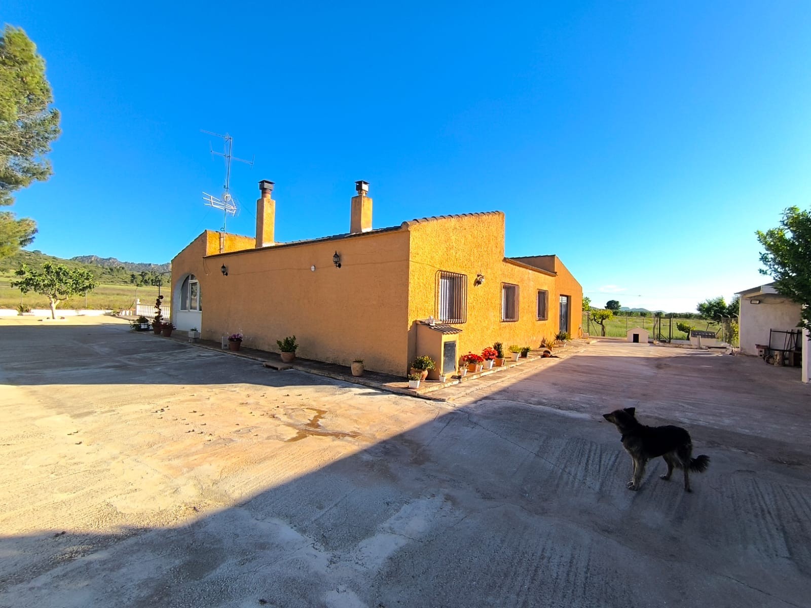 Country House for sale in Yecla, Murcia, Spain