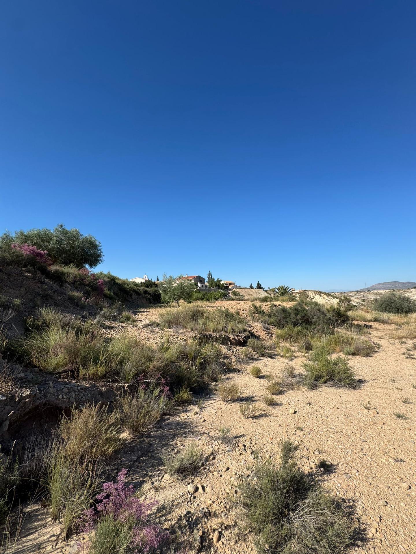Finca for sale in Abanilla, Murcia, Spain
