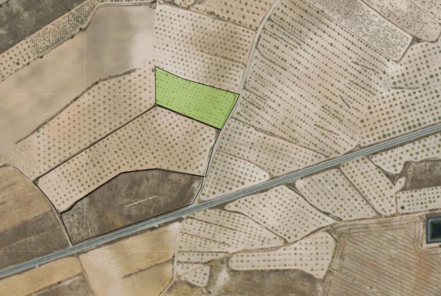 Finca en venta en Jumilla