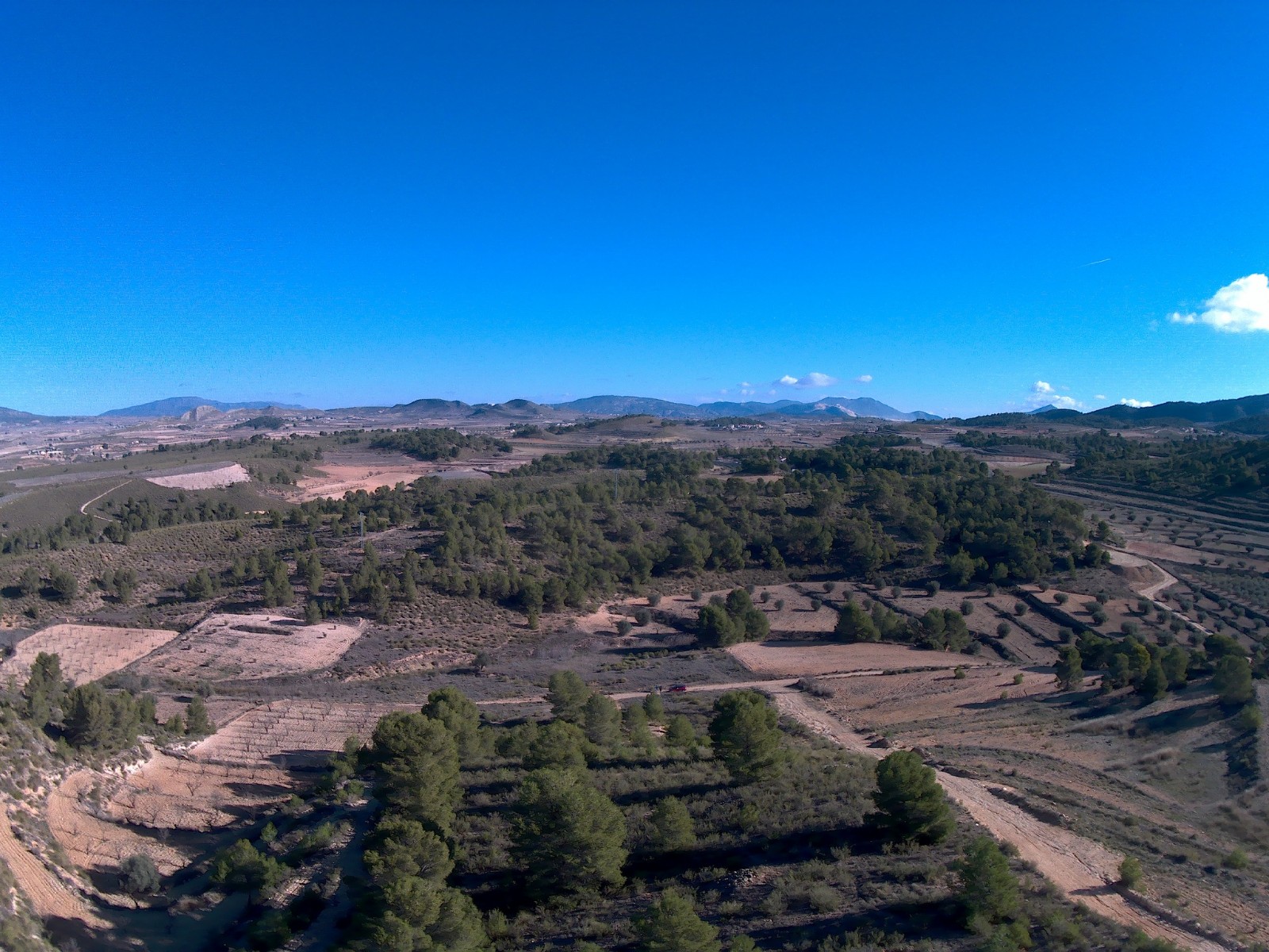 Finca en venta en La Zarza