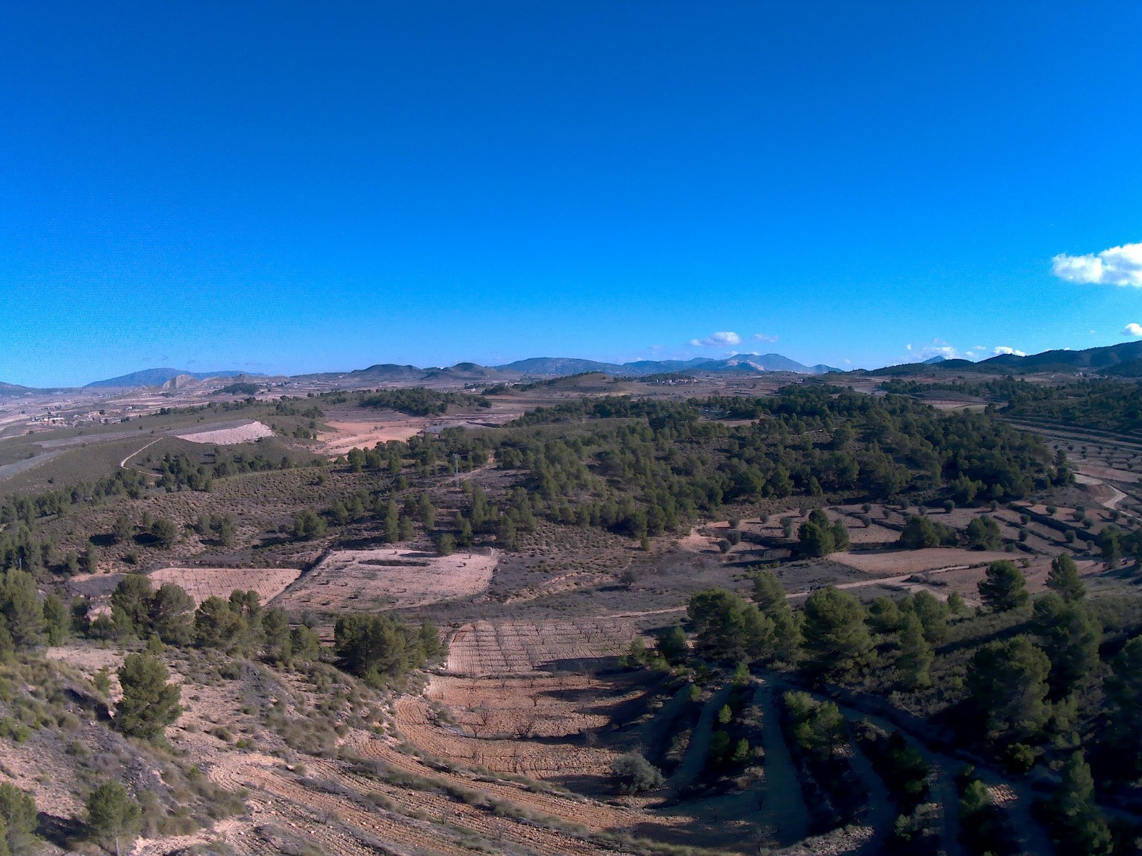 Finca en venta en La Zarza