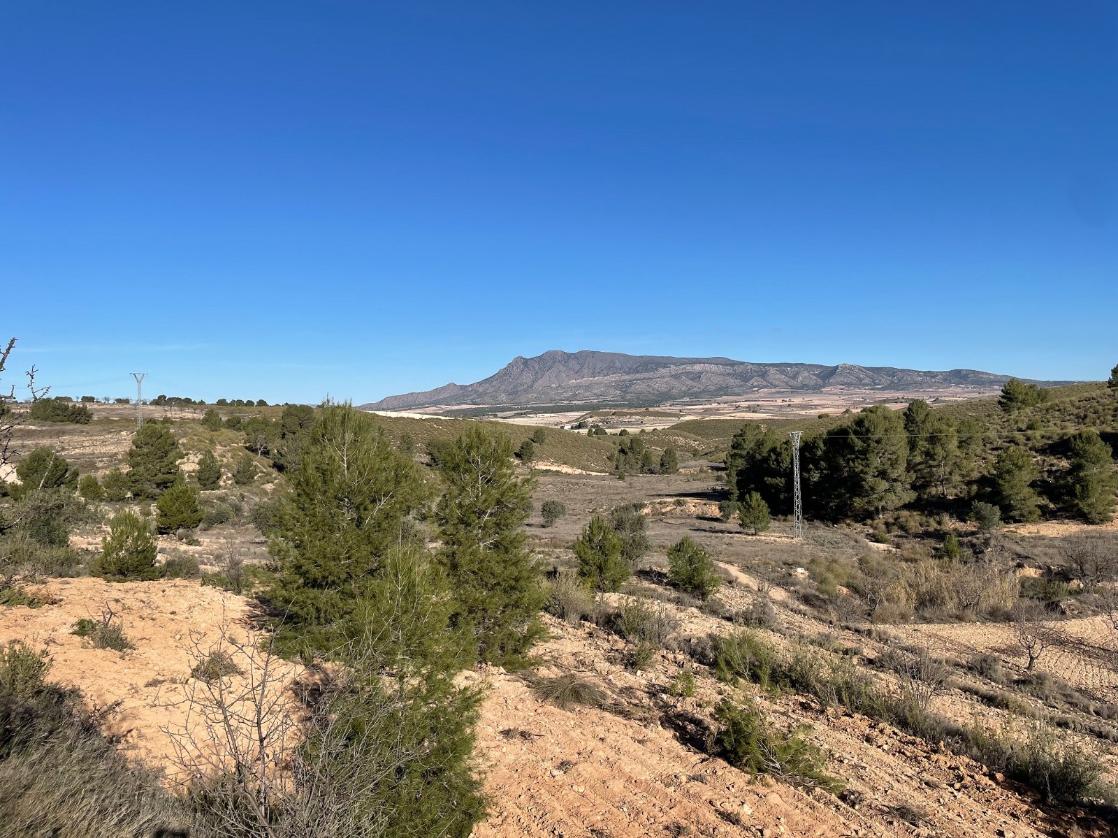 Finca en venta en La Zarza