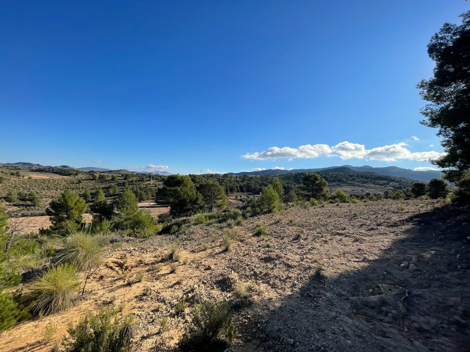 Finca en venta en La Zarza