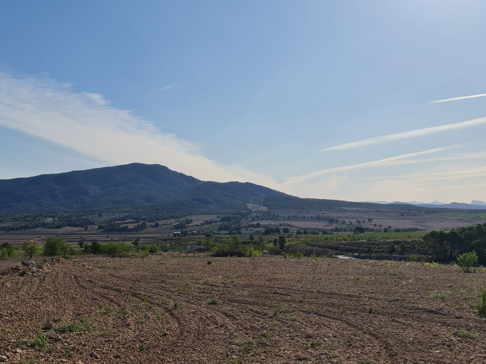 Finca for sale in Raspay, Murcia, Spain