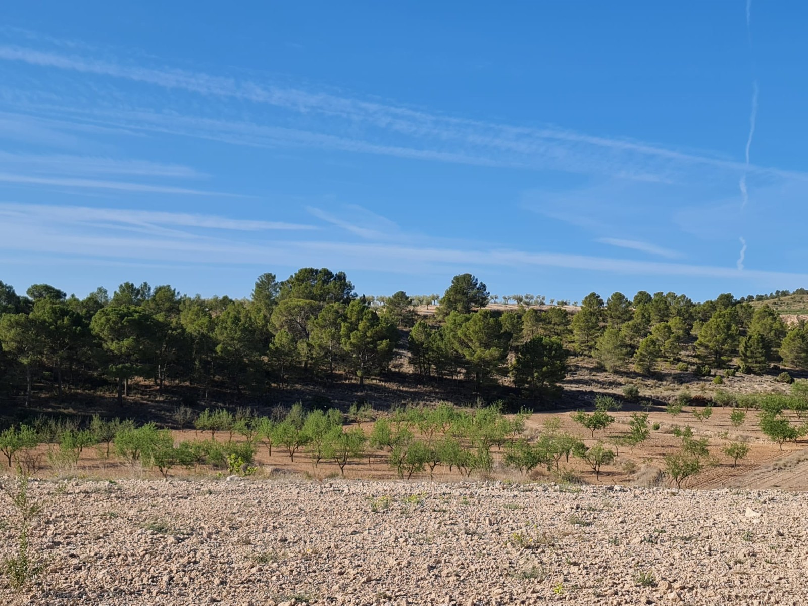 Finca for sale in Raspay, Murcia, Spain