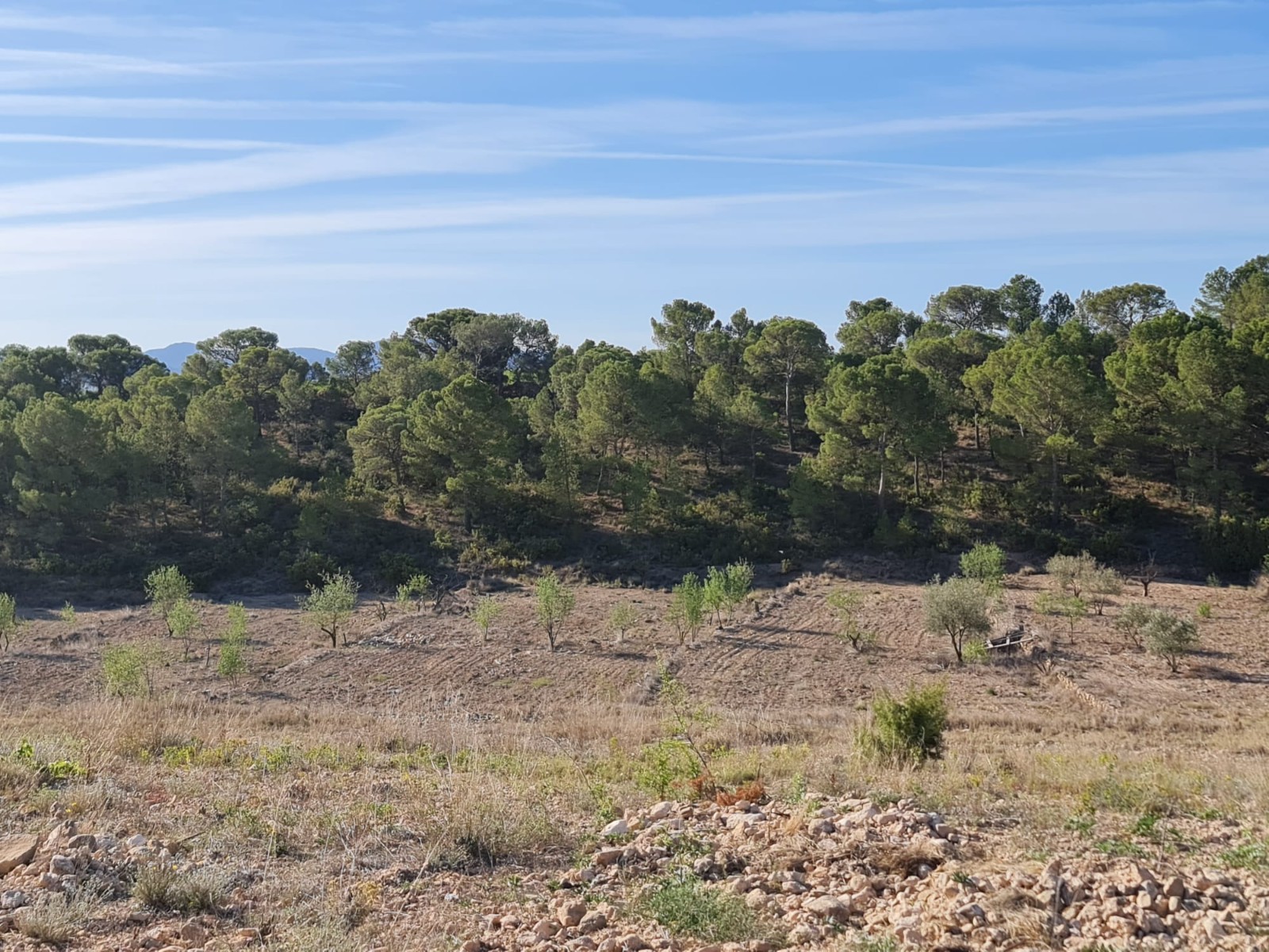 Finca for sale in Raspay, Murcia, Spain