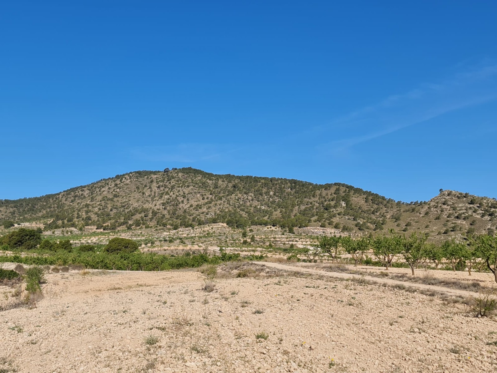 Finca for sale in Raspay, Murcia, Spain