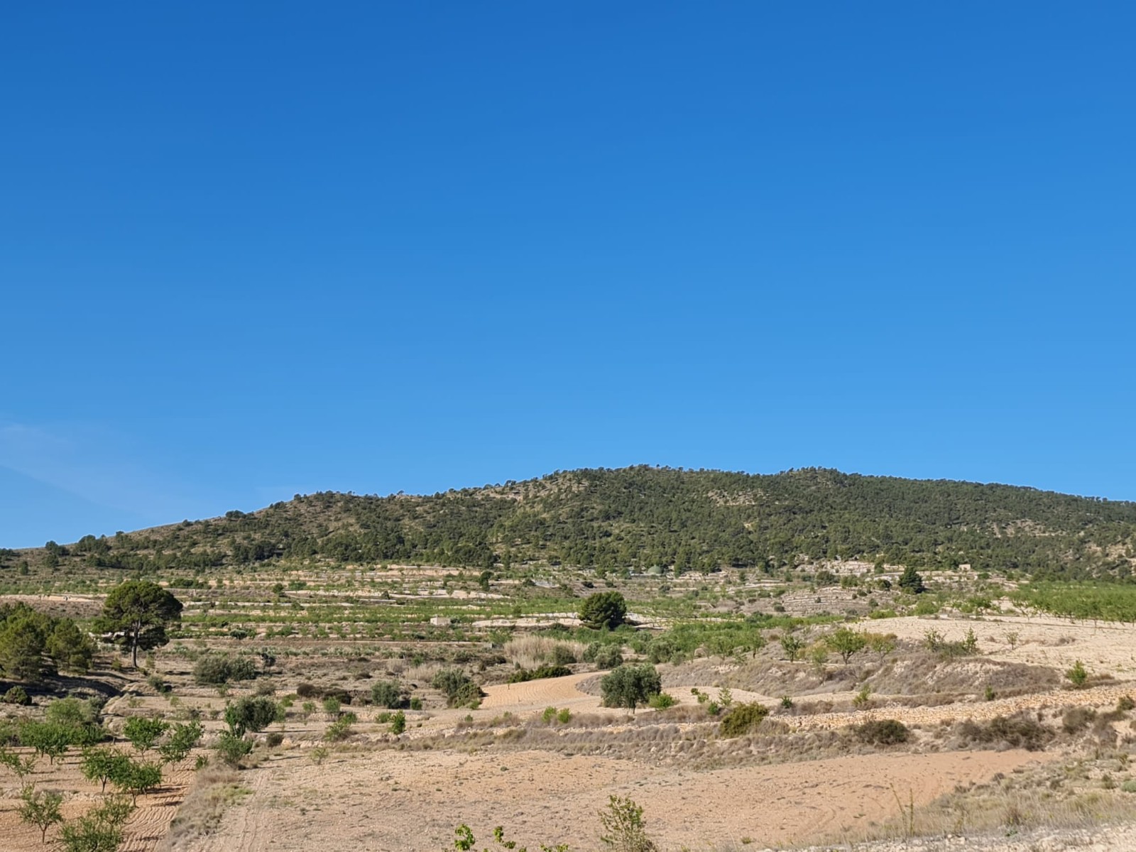 Finca for sale in Raspay, Murcia, Spain