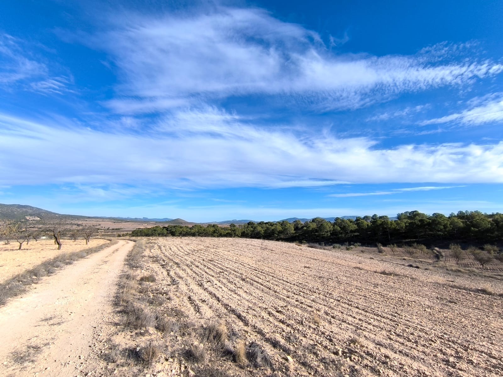 Finca for sale in Raspay, Murcia, Spain