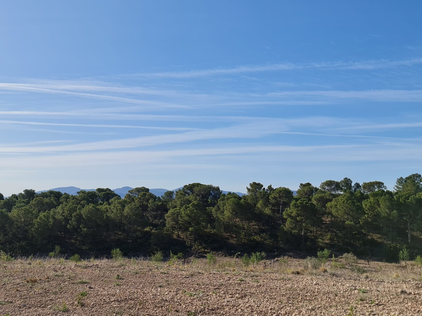 Finca for sale in Raspay, Murcia, Spain