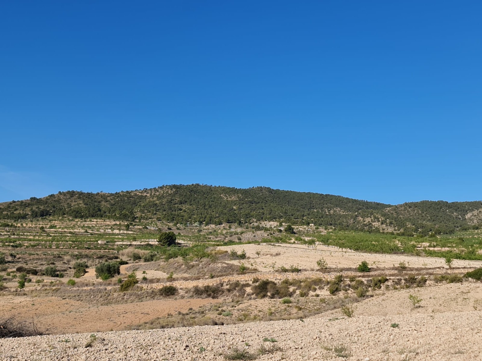 Finca for sale in Raspay, Murcia, Spain