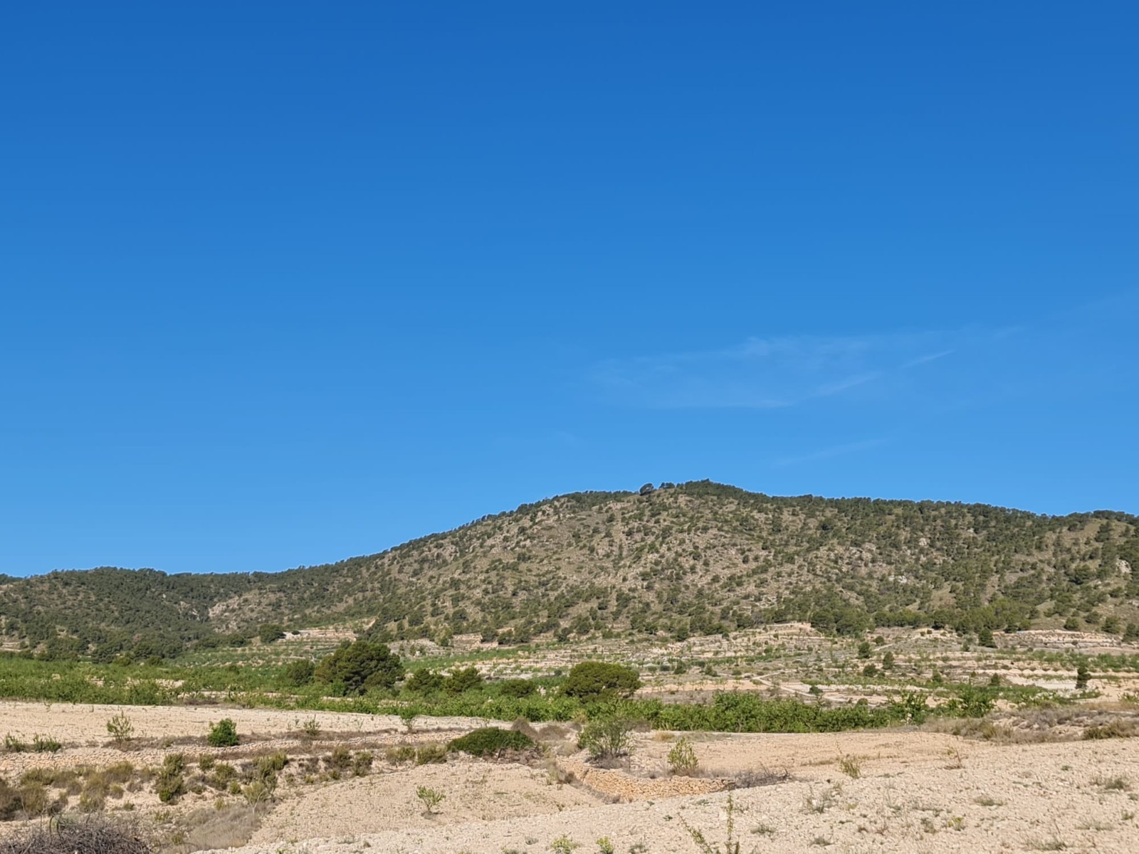 Finca for sale in Raspay, Murcia, Spain