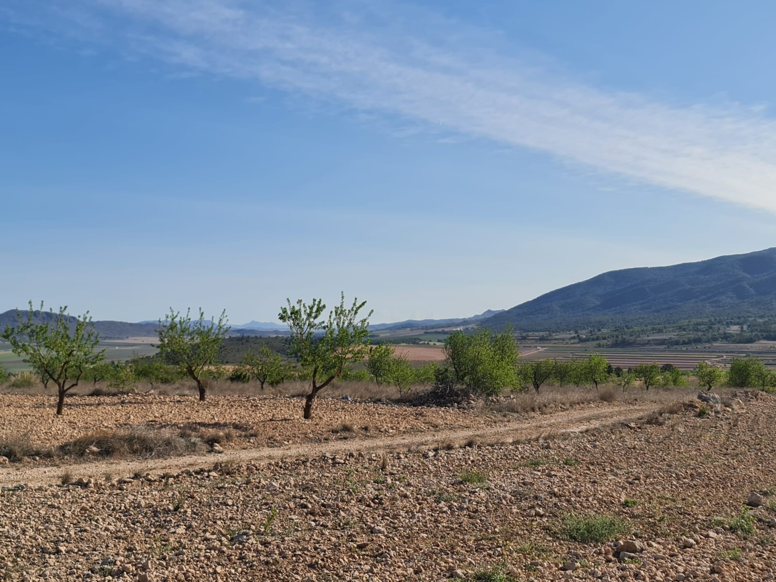 Finca for sale in Raspay, Murcia, Spain