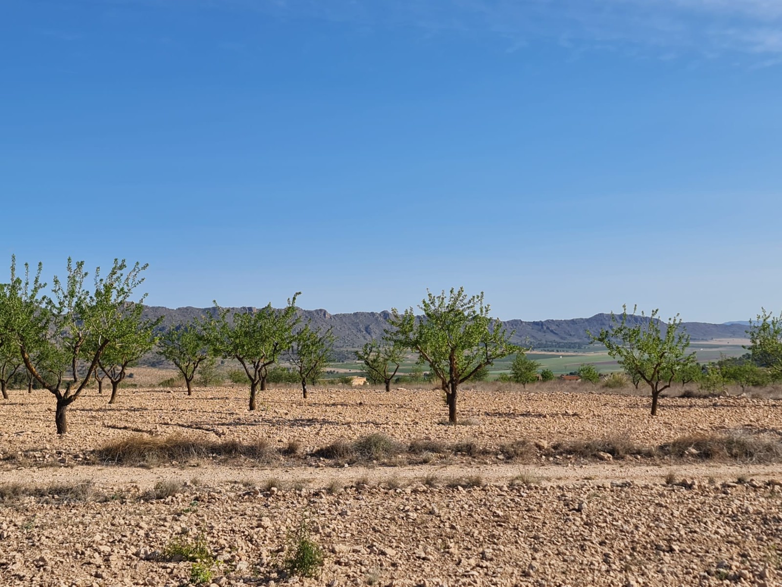 Finca for sale in Raspay, Murcia, Spain