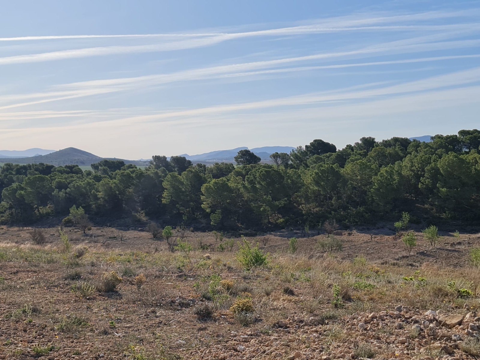 Finca for sale in Raspay, Murcia, Spain