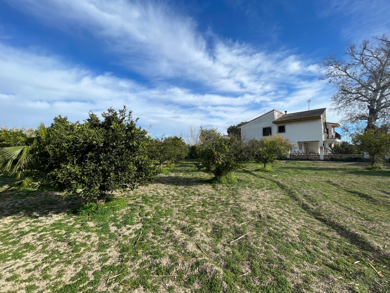 Villa for sale in Benejuzar, Alicante, Spain
