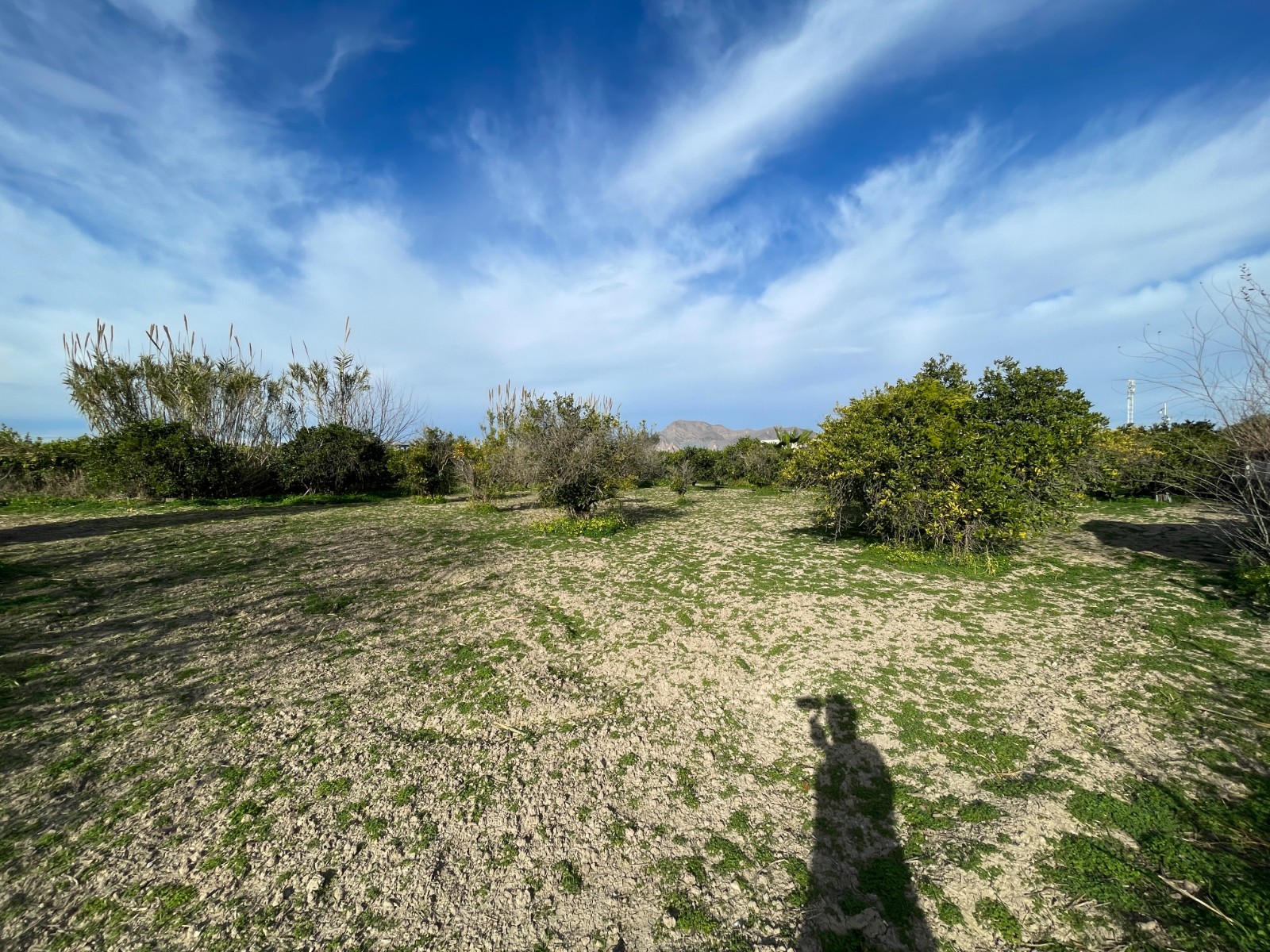 Villa for sale in Benejuzar, Alicante, Spain