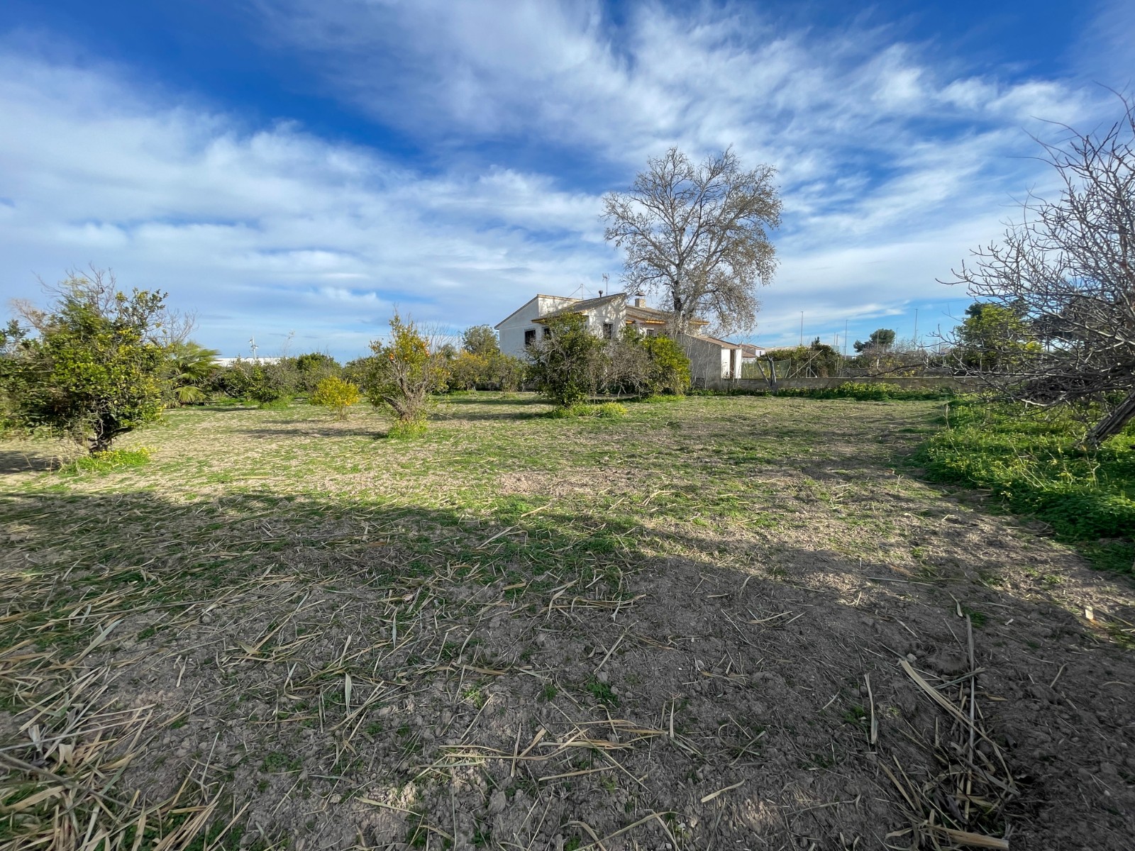 Villa for sale in Benejuzar, Alicante, Spain