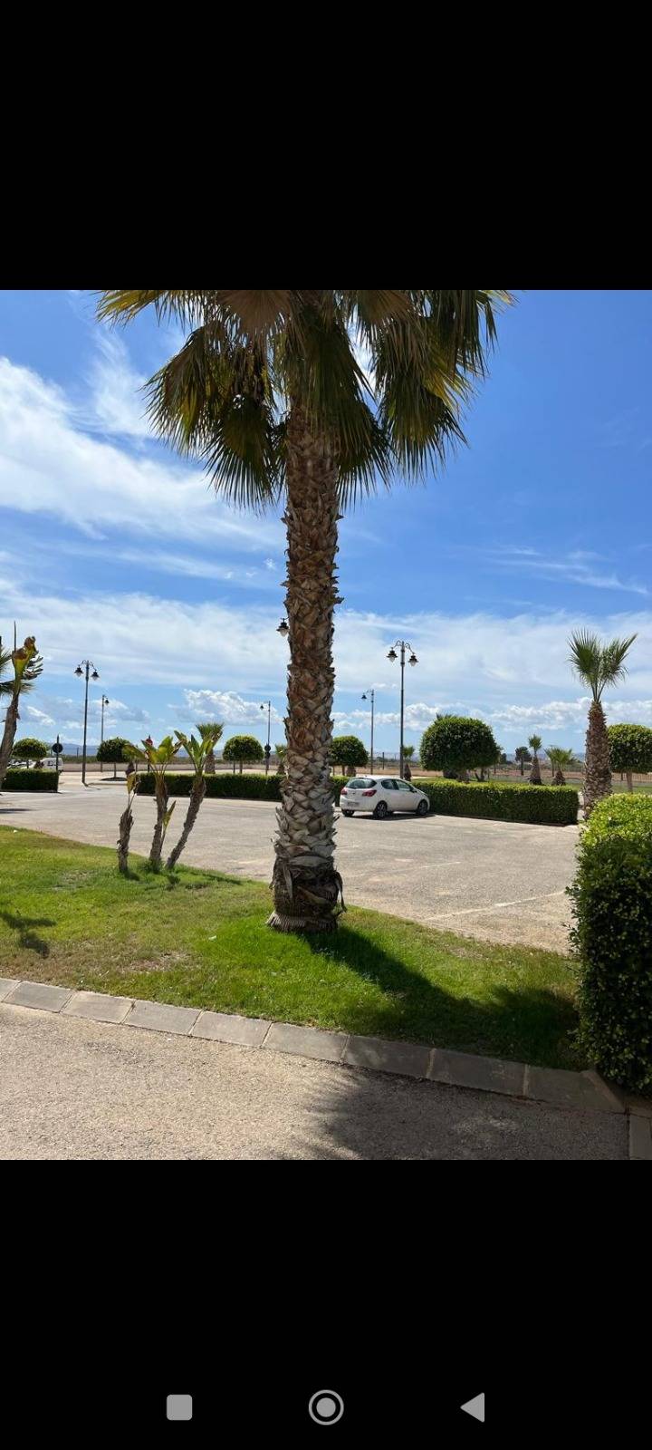 Apartment for sale in Torre Pacheco, Murcia, Spain