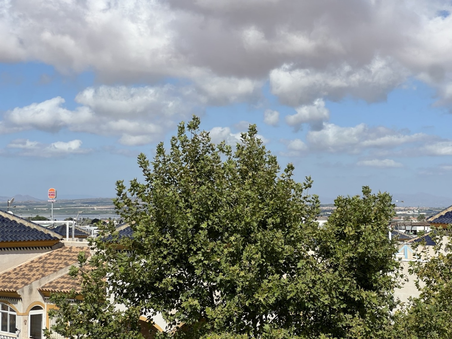 Commercial unit for sale in Torrevieja, Alicante, Spain