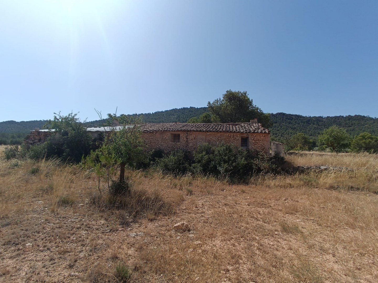 Other for sale in Yecla, Murcia, Spain