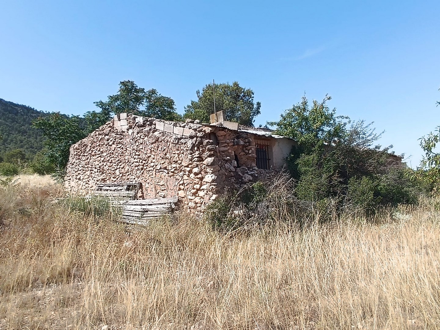 Other for sale in Yecla, Murcia, Spain