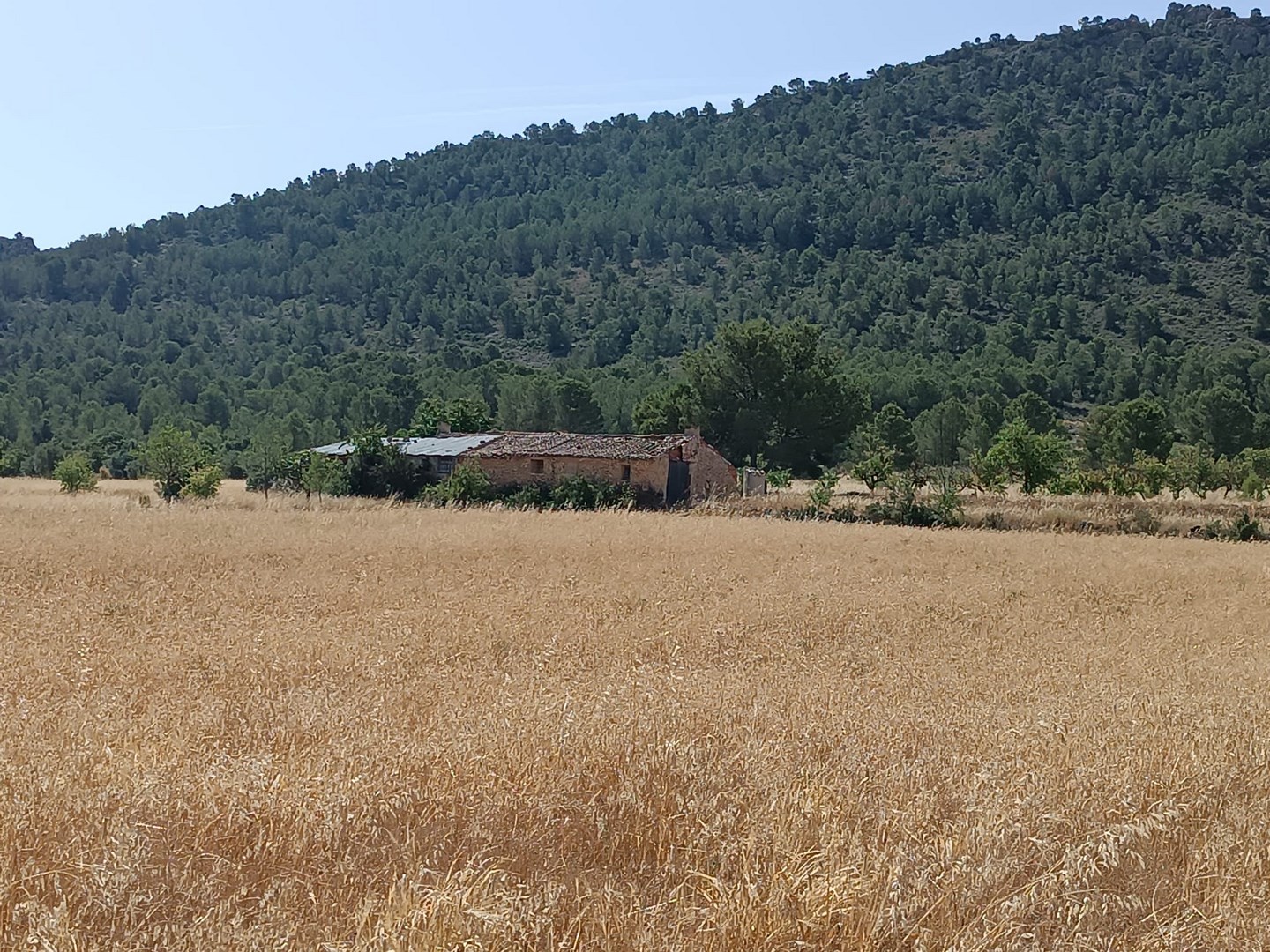Other for sale in Yecla, Murcia, Spain