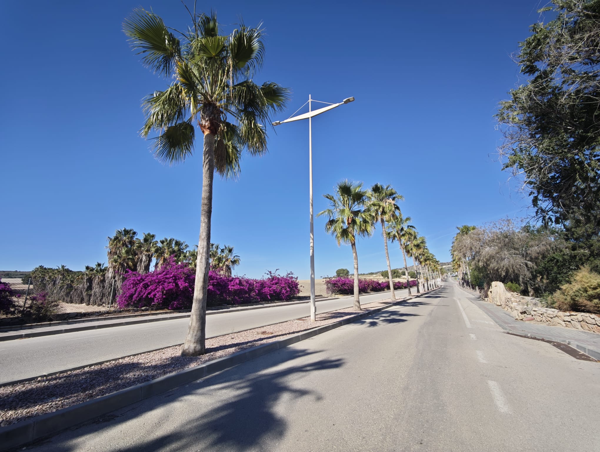 Villa for sale in Algorfa, Alicante, Spain