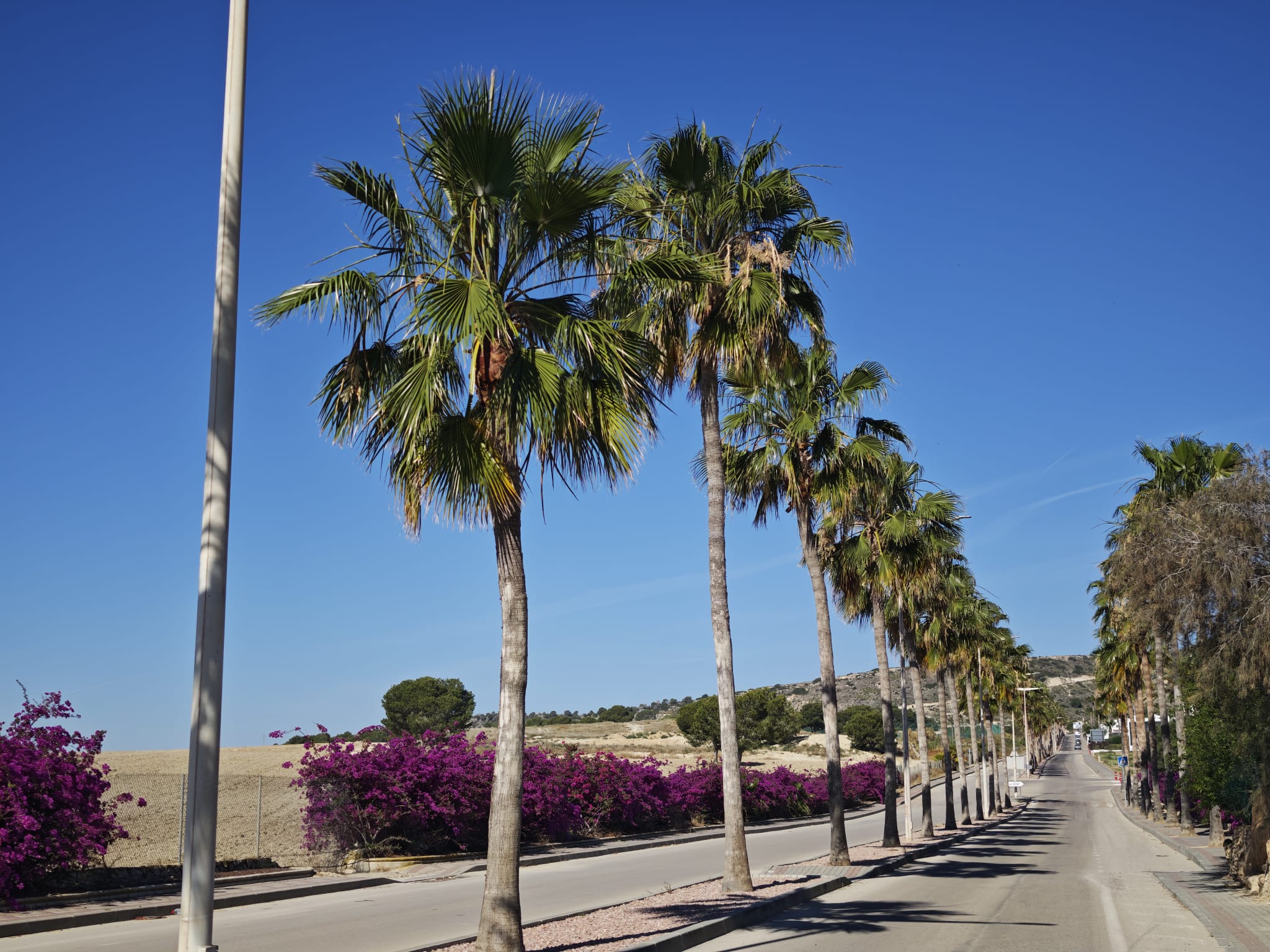 Villa for sale in Algorfa, Alicante, Spain