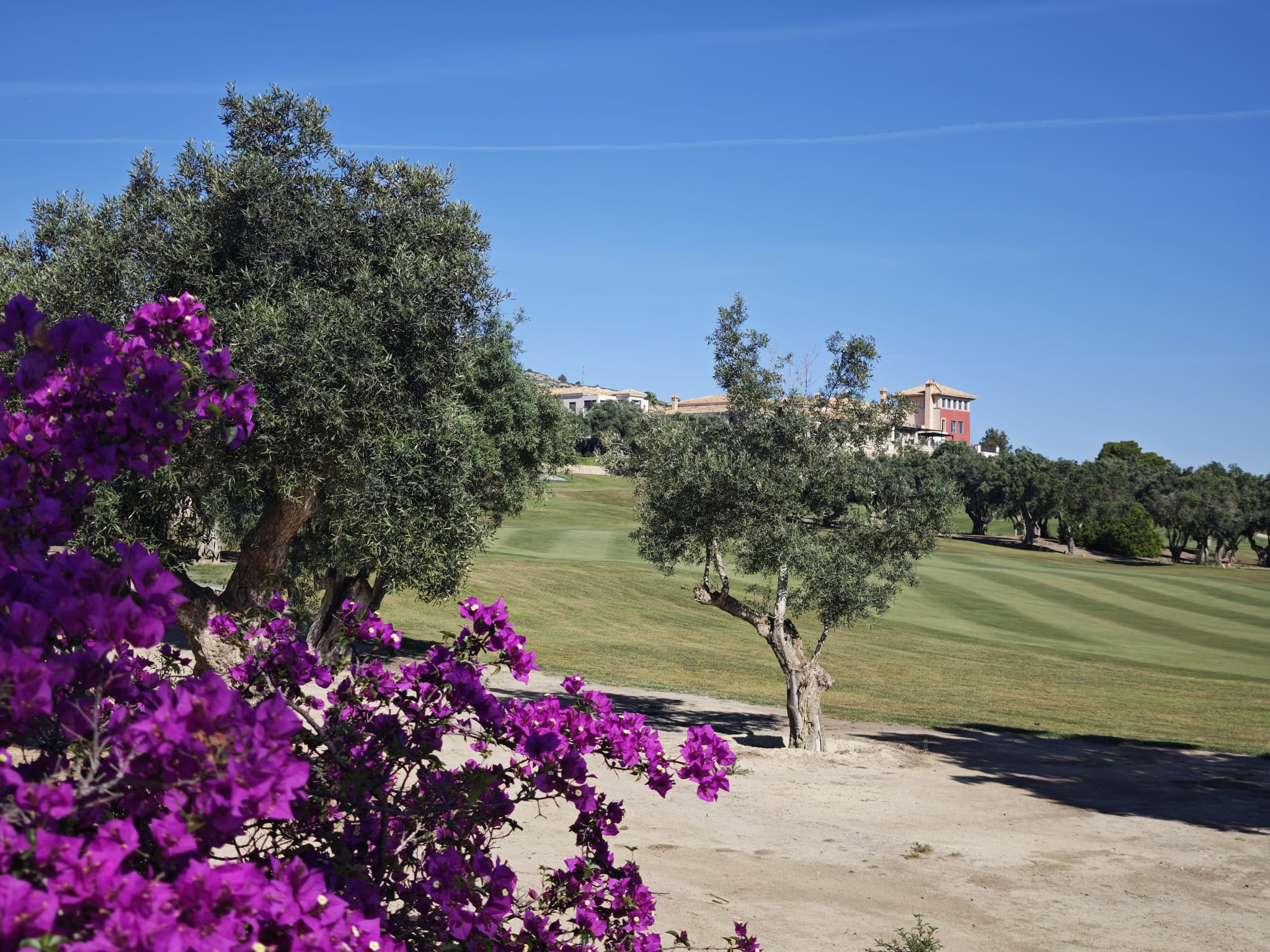 Villa for sale in Algorfa, Alicante, Spain