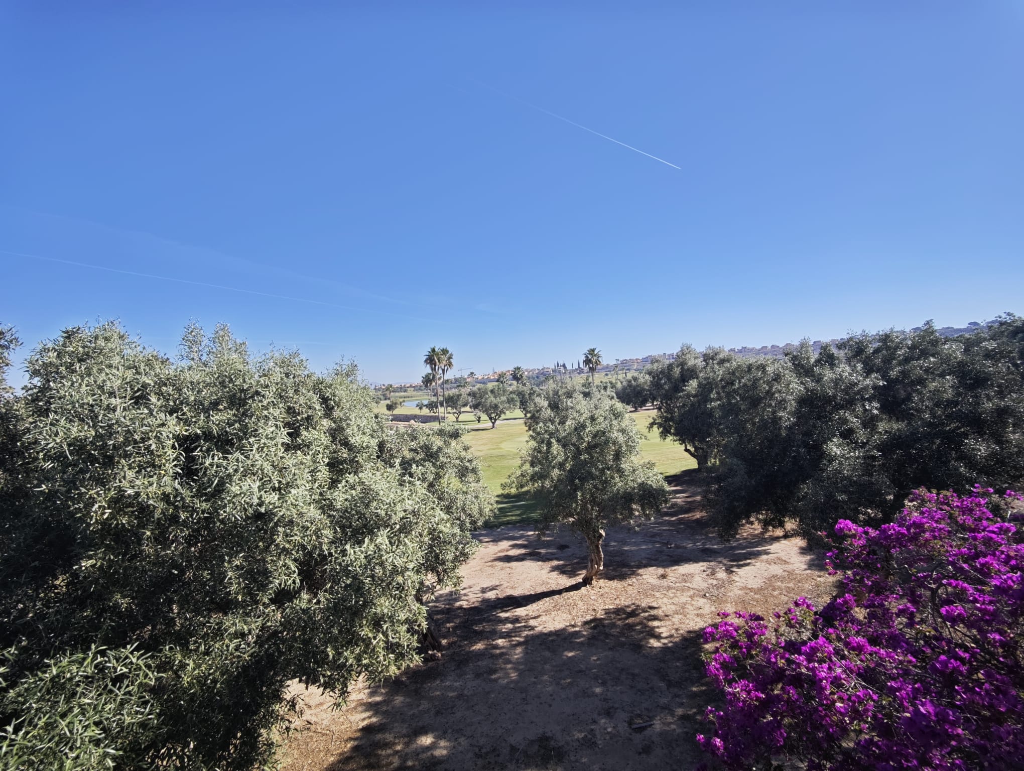 Villa for sale in Algorfa, Alicante, Spain