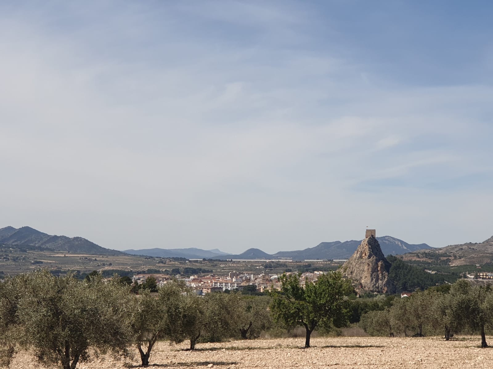 Finca for sale in Sax, Alicante, Spain