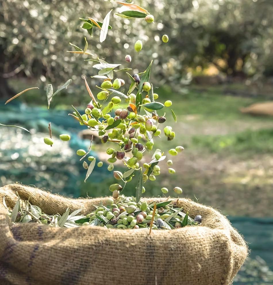 Finca en venta en Puerto Lumbreras