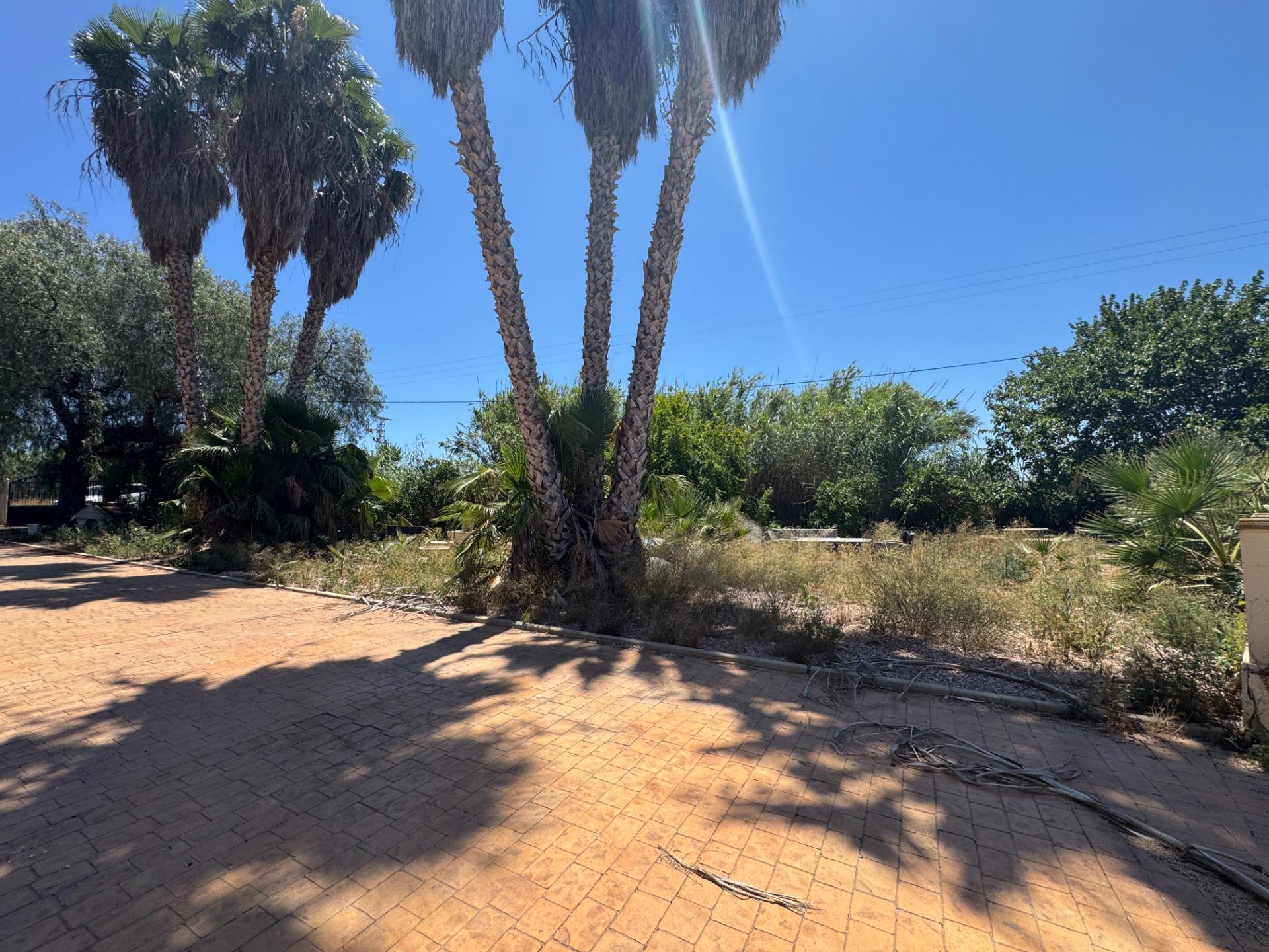 Finca for sale in Dolores, Alicante, Spain