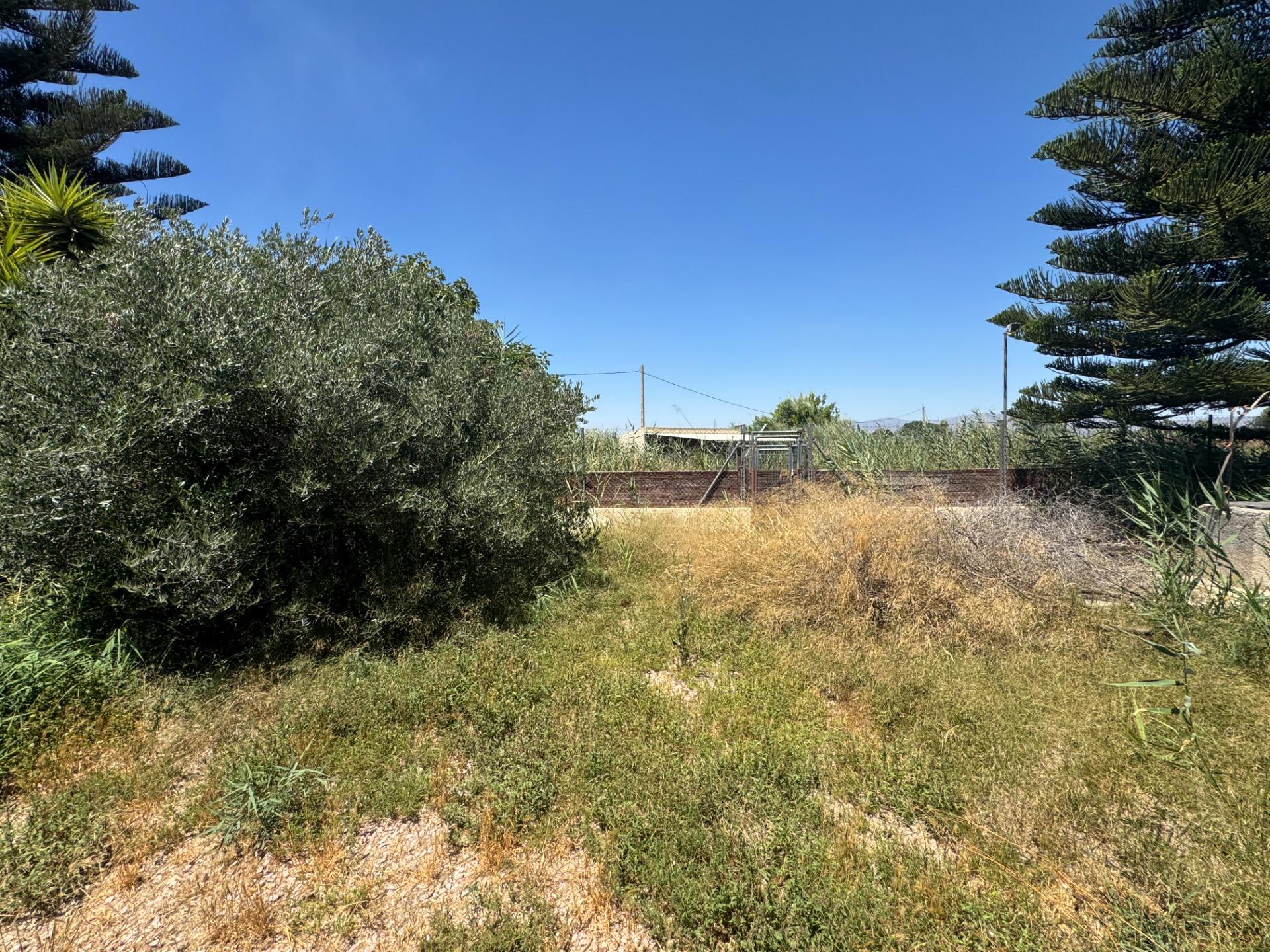 Finca for sale in Dolores, Alicante, Spain