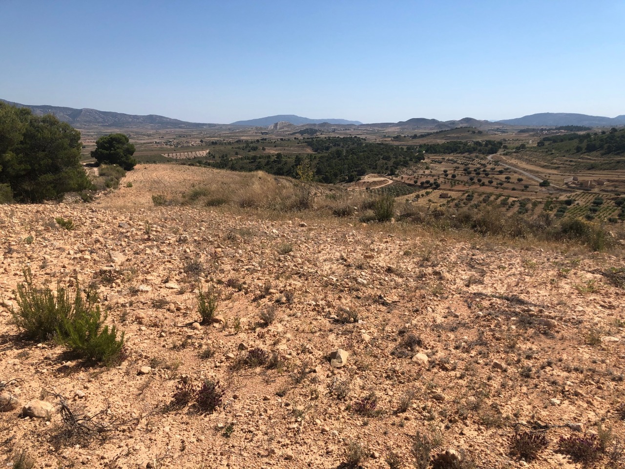 Finca for sale in La Zarza, Murcia, Spain