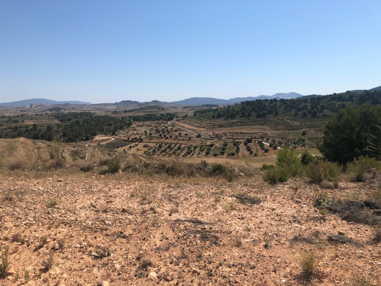 Finca for sale in La Zarza, Murcia, Spain